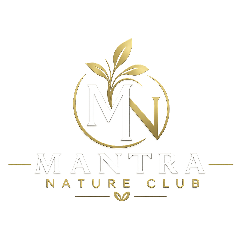M Club Holidays